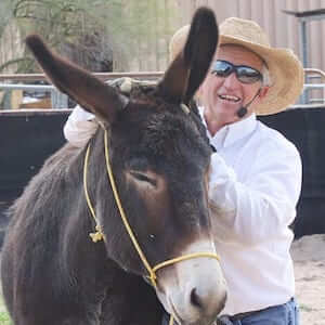 steve edwards